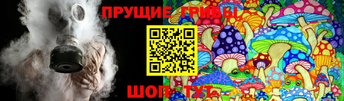 Псилоцибиновые грибы Magic Shrooms  Вход с VPN  цены   Костомукша 